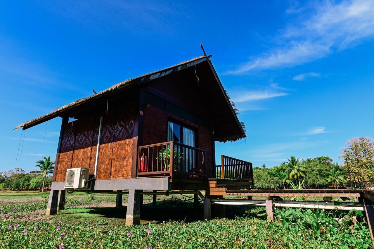 The Gemalai Village Pantai Cenang  Zewnętrze zdjęcie