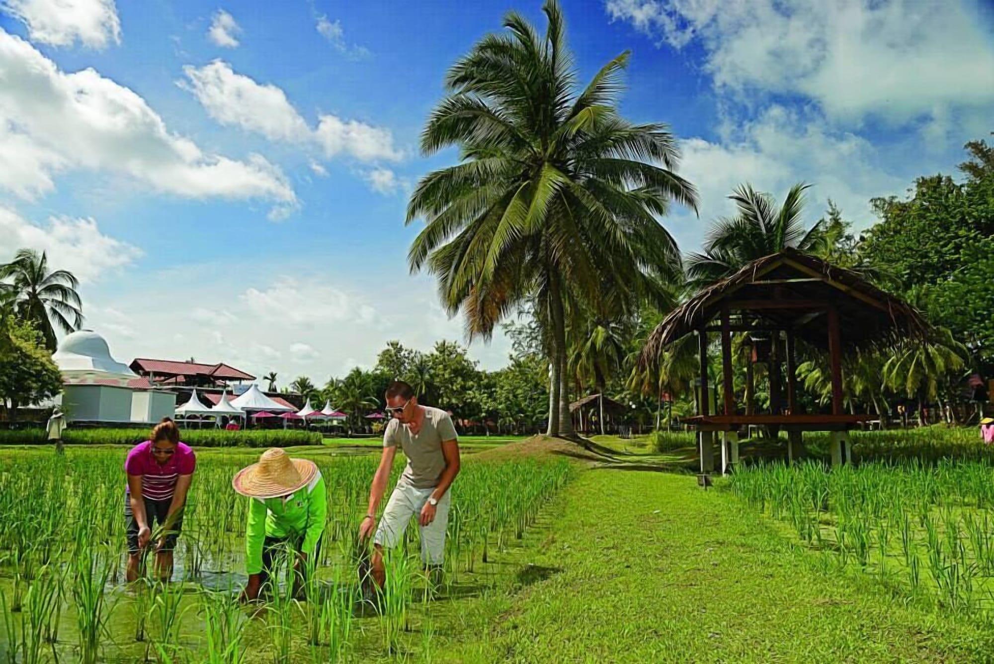 The Gemalai Village Pantai Cenang  Zewnętrze zdjęcie